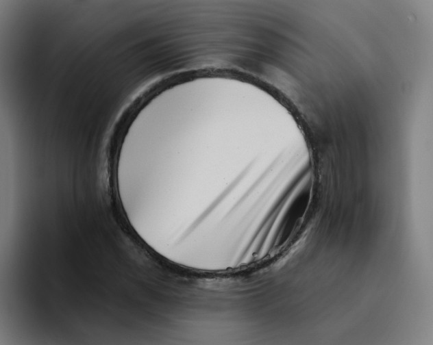 X0000094191118200711161742