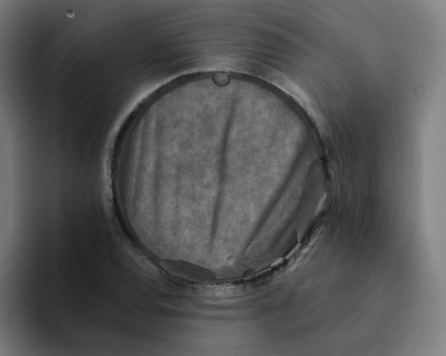 X0000094191120200711161742