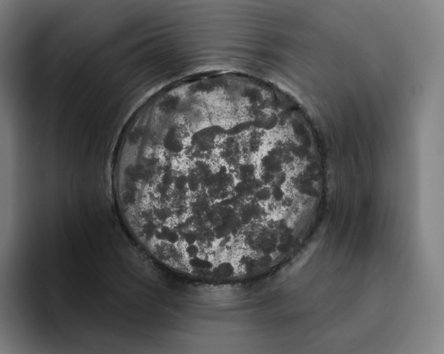 X0000094191121200711161742