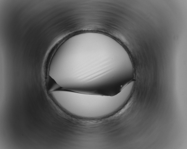 X0000094191122200711161742