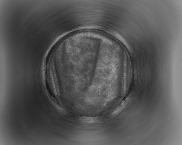 X0000094191124200711161742