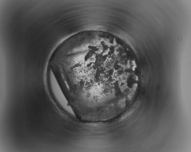 X0000094191125200711161742