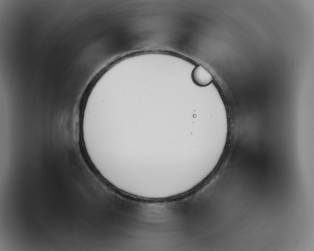 X0000094191126200711161742