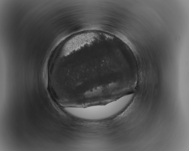 X0000094191127200711161742