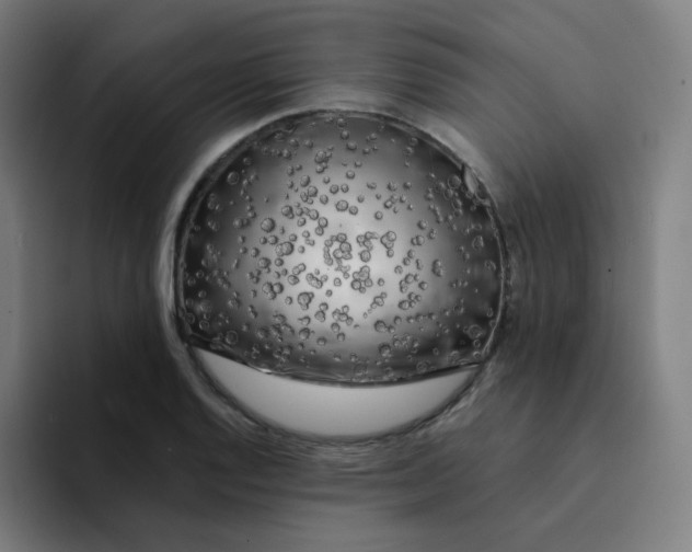 X0000094191128200711161742