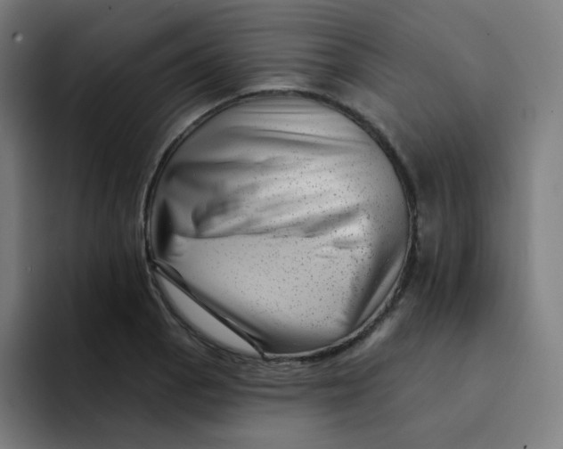 X0000094191129200711161742