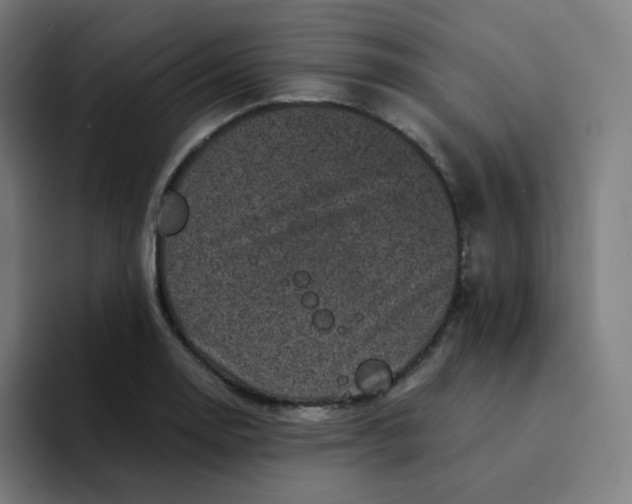 X0000094191130200711161742