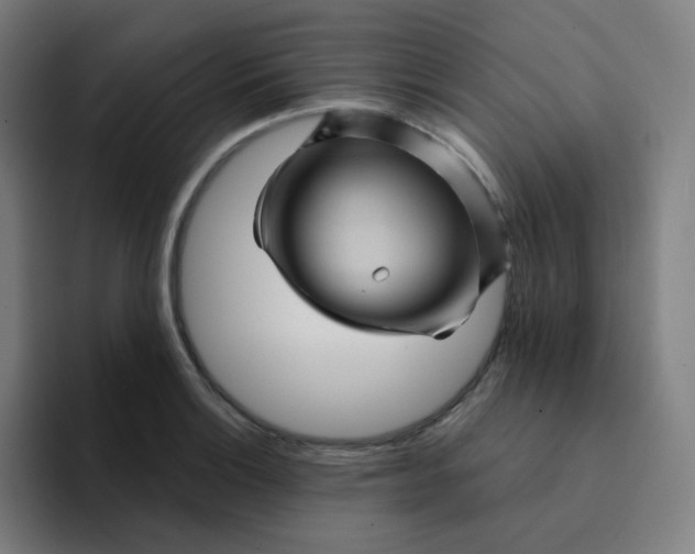 X0000094191132200711161743