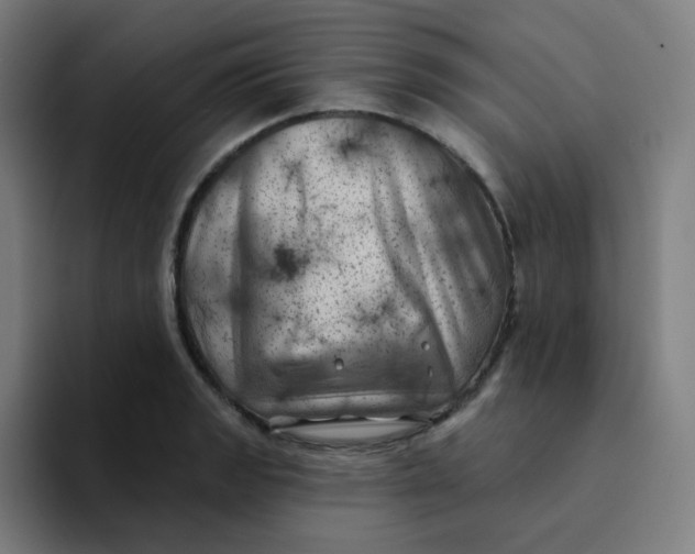 X0000094191133200711161743