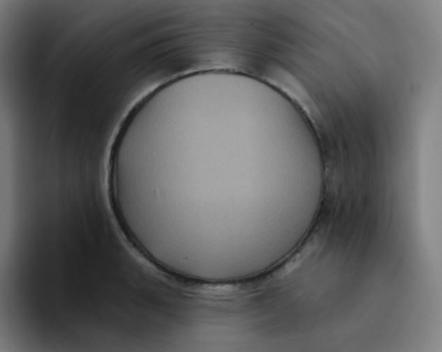 X0000094191135200711161743