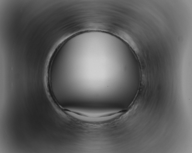 X0000094191136200711161743