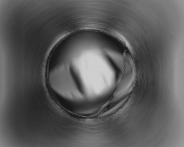 X0000094191138200711161743