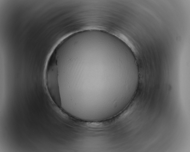 X0000094191140200711161743