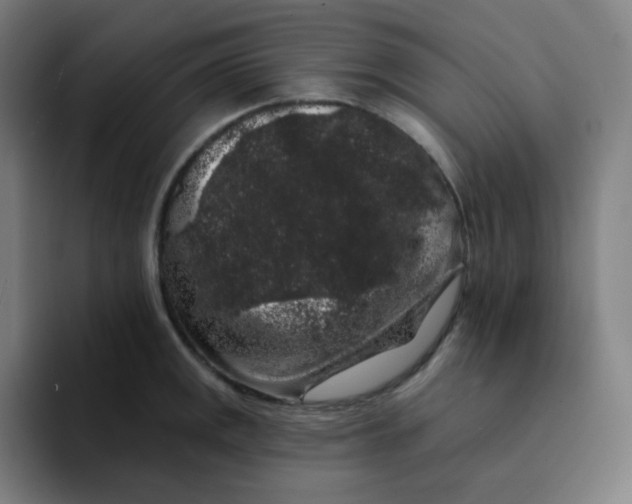 X0000094191141200711161743