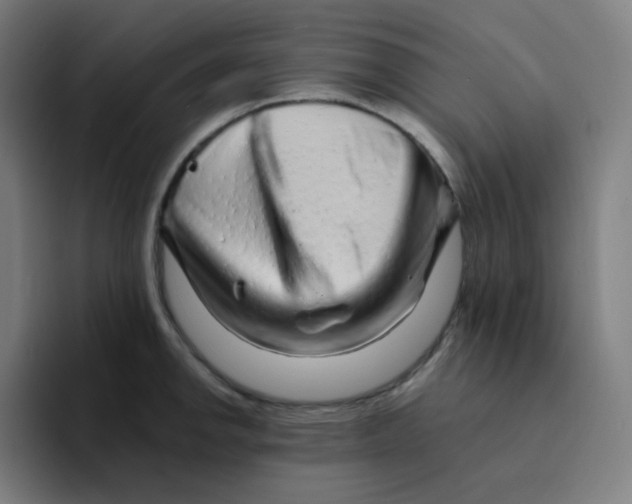 X0000094191142200711161743