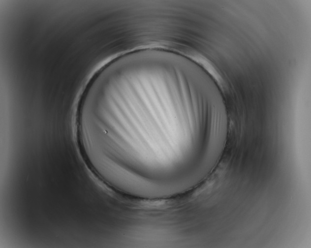 X0000094191143200711161743