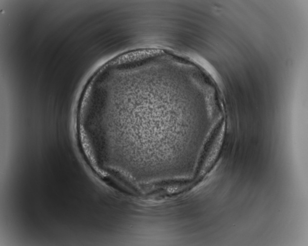 X0000094191144200711161743