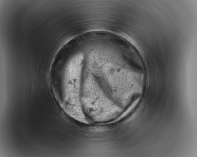 X0000094191145200711161743