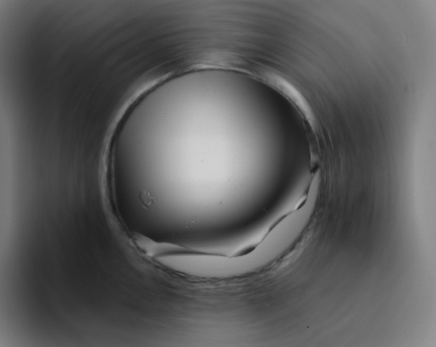 X0000094191146200711161743