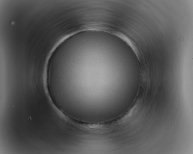 X0000094191147200711161743