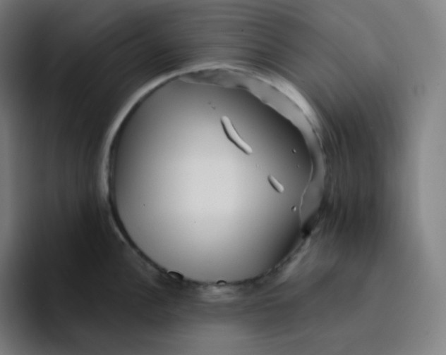 X0000094191148200711161743