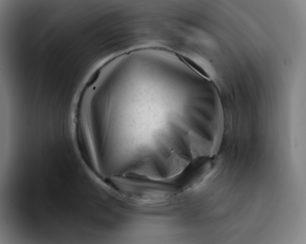 X0000094191151200711161743