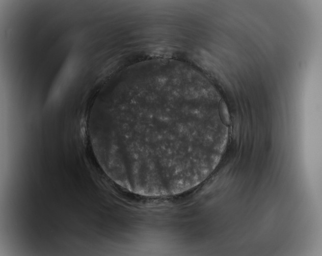 X0000094191154200711161742