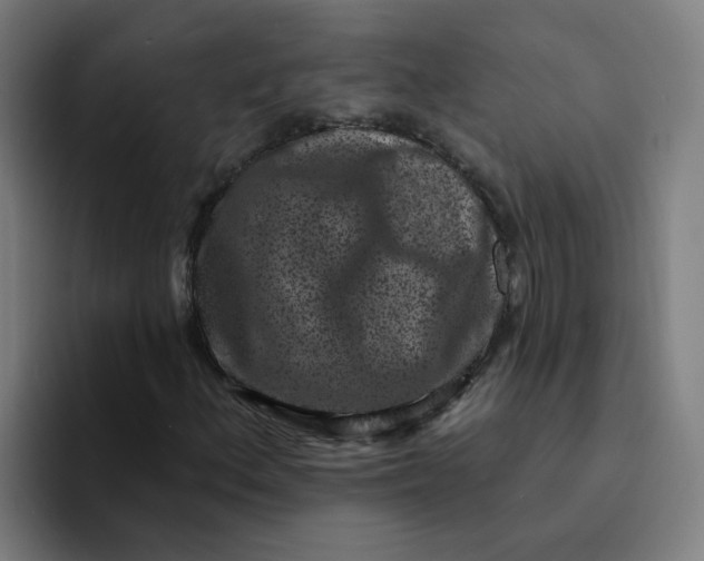 X0000094191156200711161742