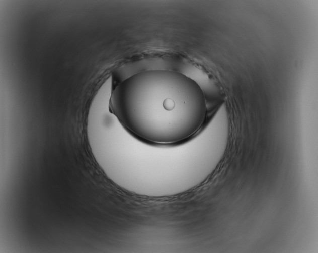 X0000094191157200711161742