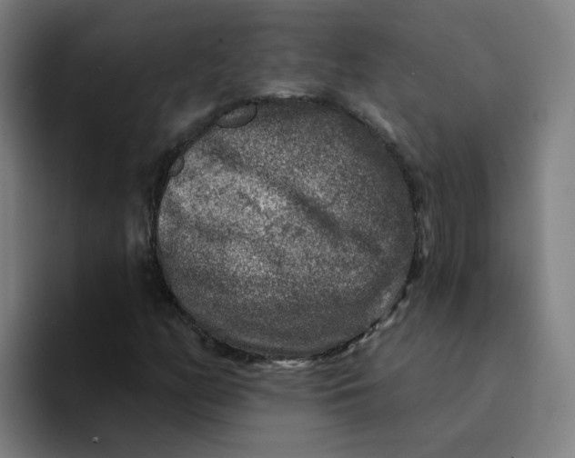 X0000094191158200711161742