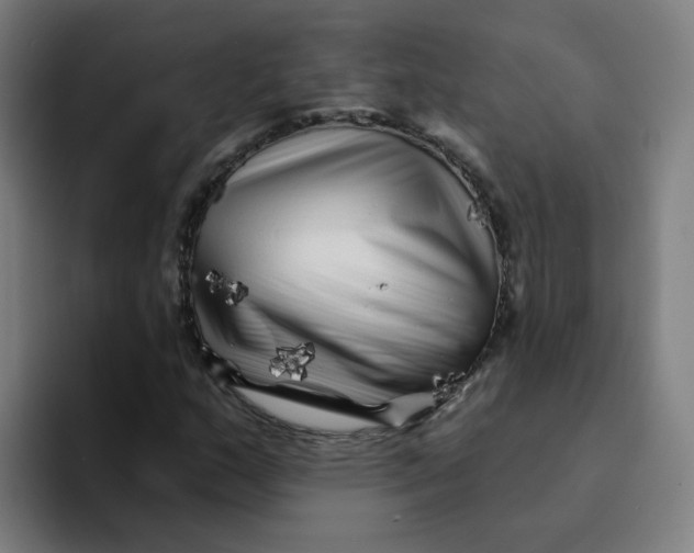 X0000094191159200711161742