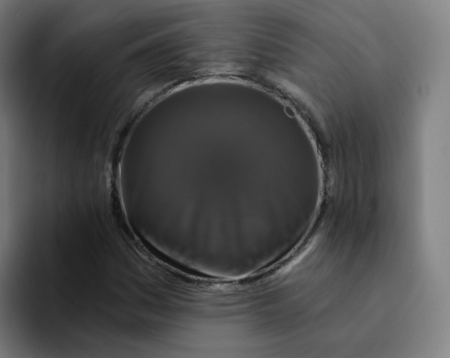 X0000094191161200711161742