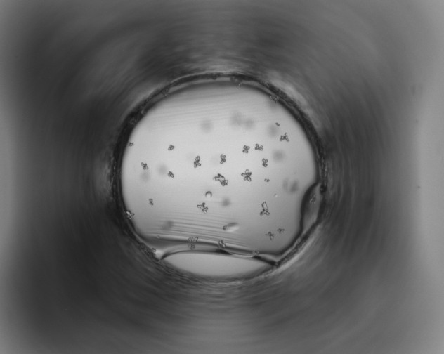 X0000094191163200711161742