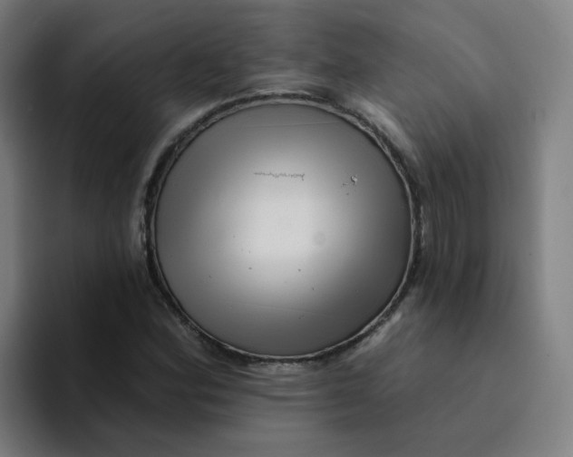 X0000094191164200711161742