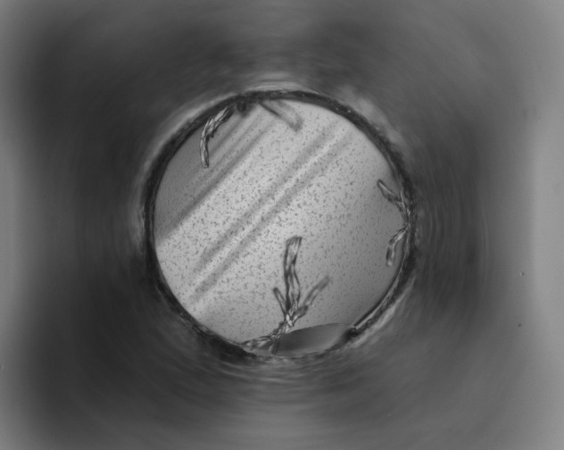 X0000094191167200711161742