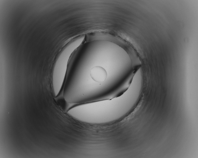 X0000094191169200711161742