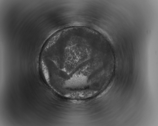 X0000094191170200711161742