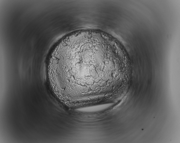 X0000094191171200711161742