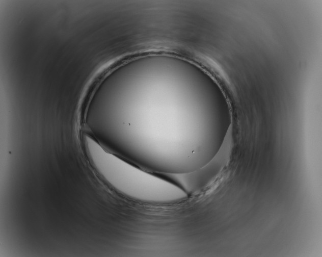 X0000094191172200711161742