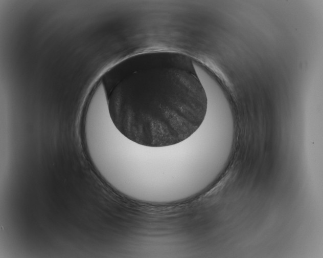 X0000094191173200711161742