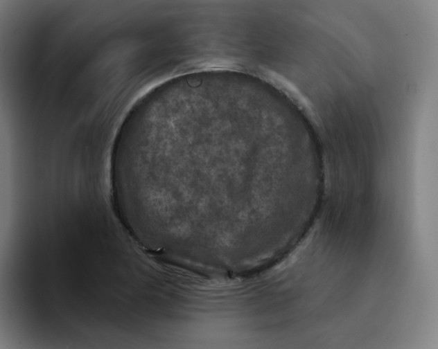 X0000094191174200711161742