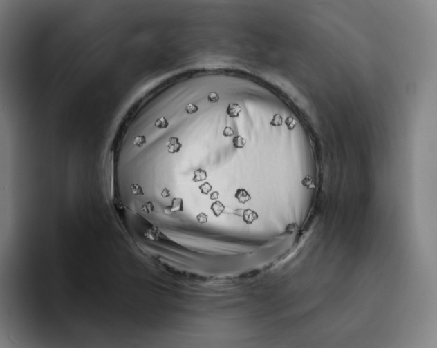 X0000094191175200711161742