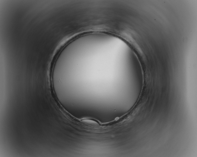 X0000094191176200711161742