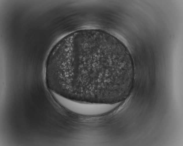 X0000094191179200711161742