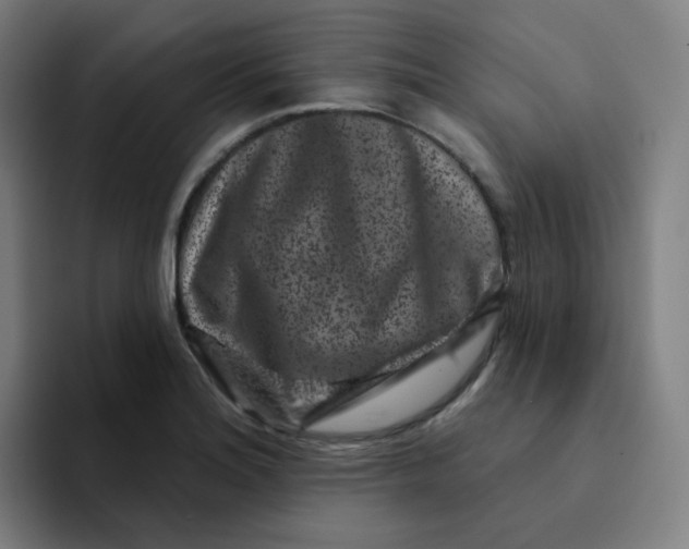 X0000094191180200711161742