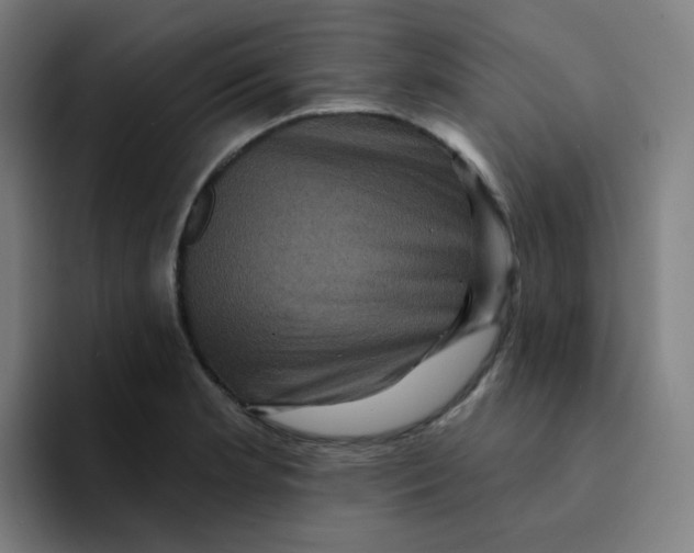 X0000094191181200711161742