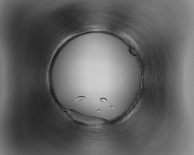 X0000094191182200711161742