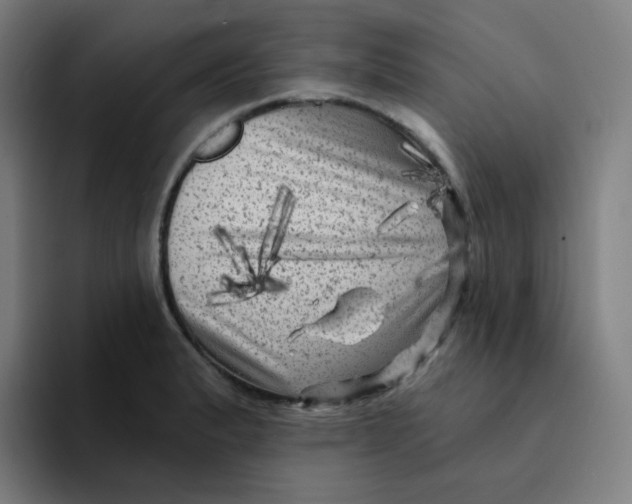 X0000094191183200711161742