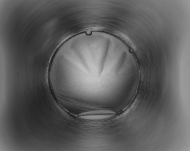 X0000094191186200711161742