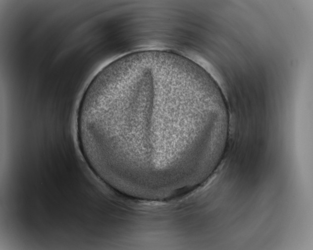 X0000094191187200711161742